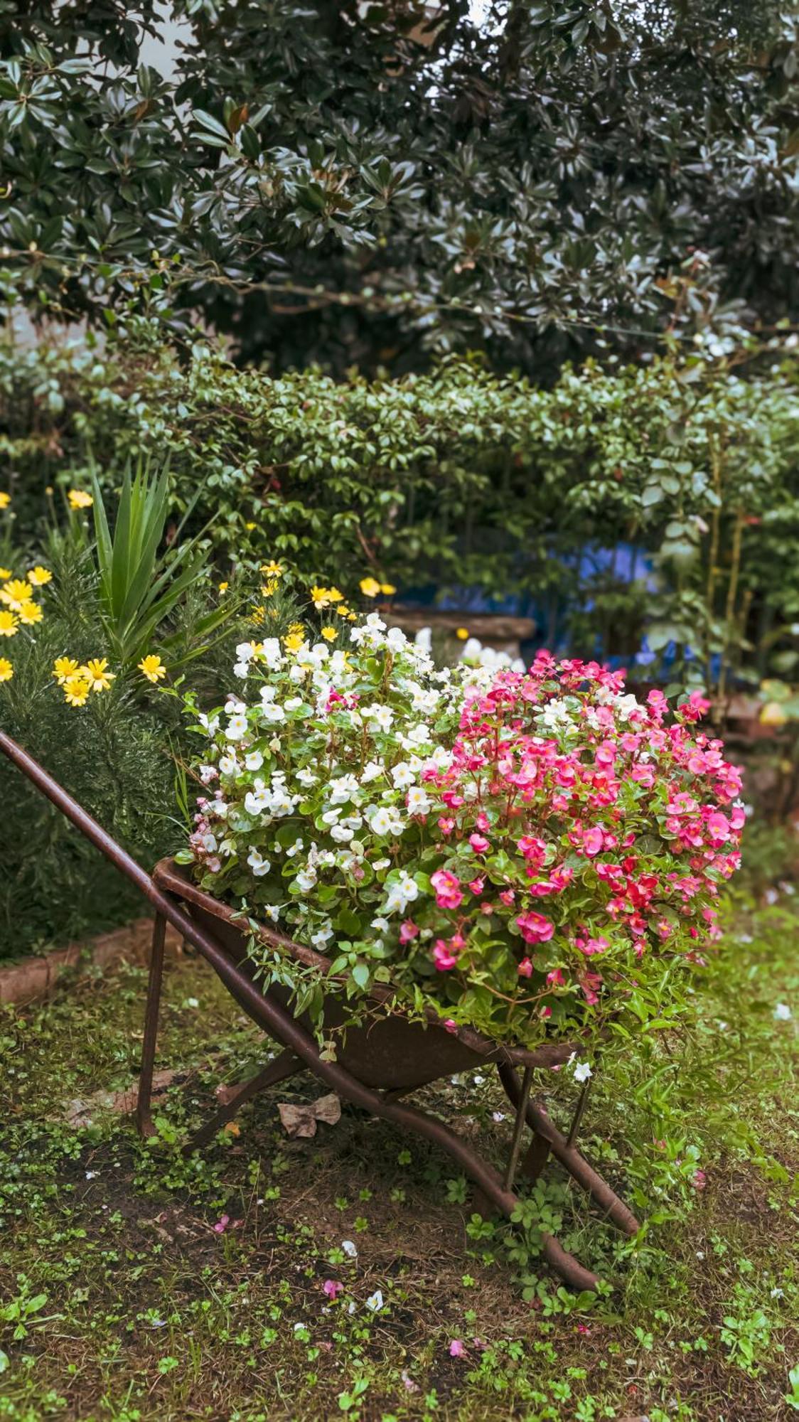 La Serra Sognante, Un Rifugio Incantevole Tra Natura E Relax 佛罗伦萨 外观 照片