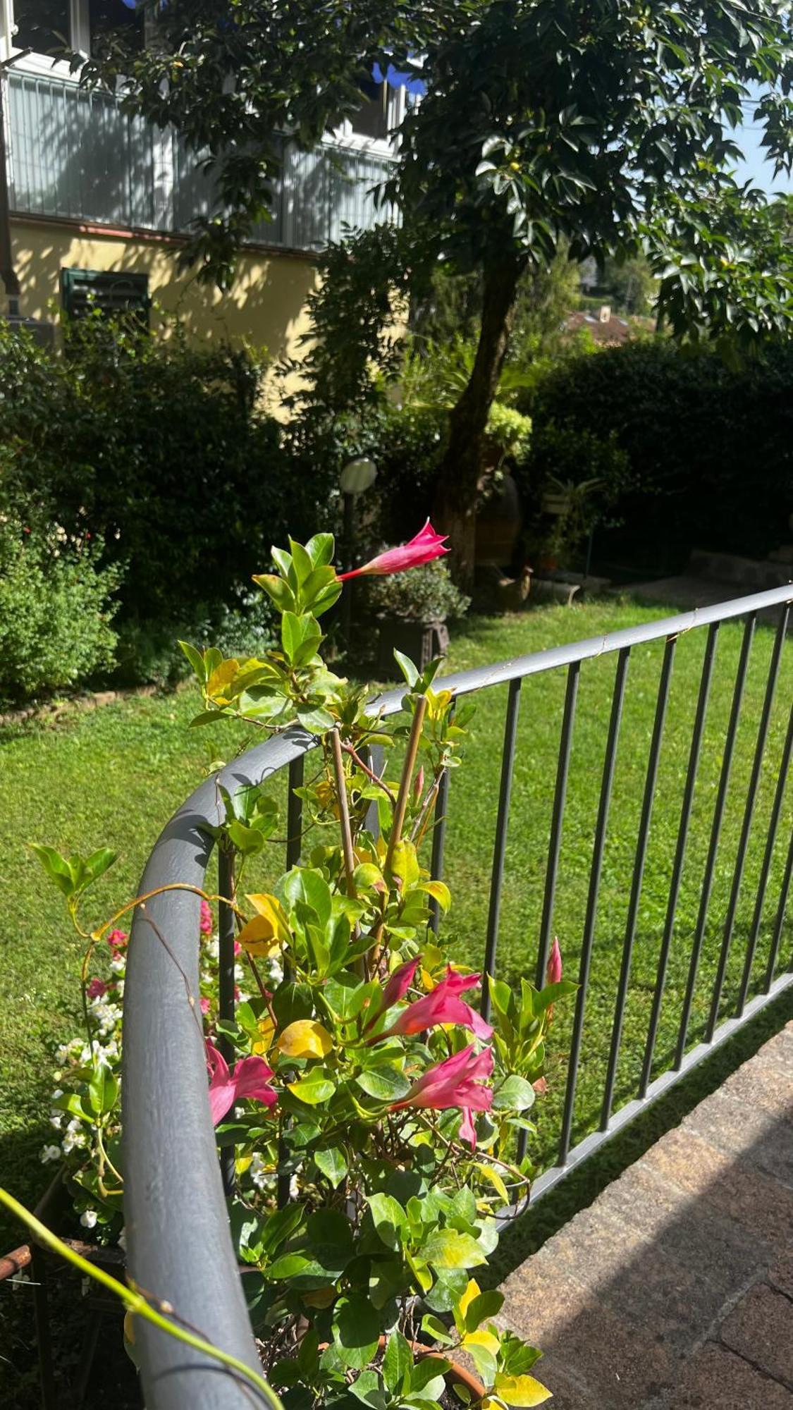 La Serra Sognante, Un Rifugio Incantevole Tra Natura E Relax 佛罗伦萨 外观 照片