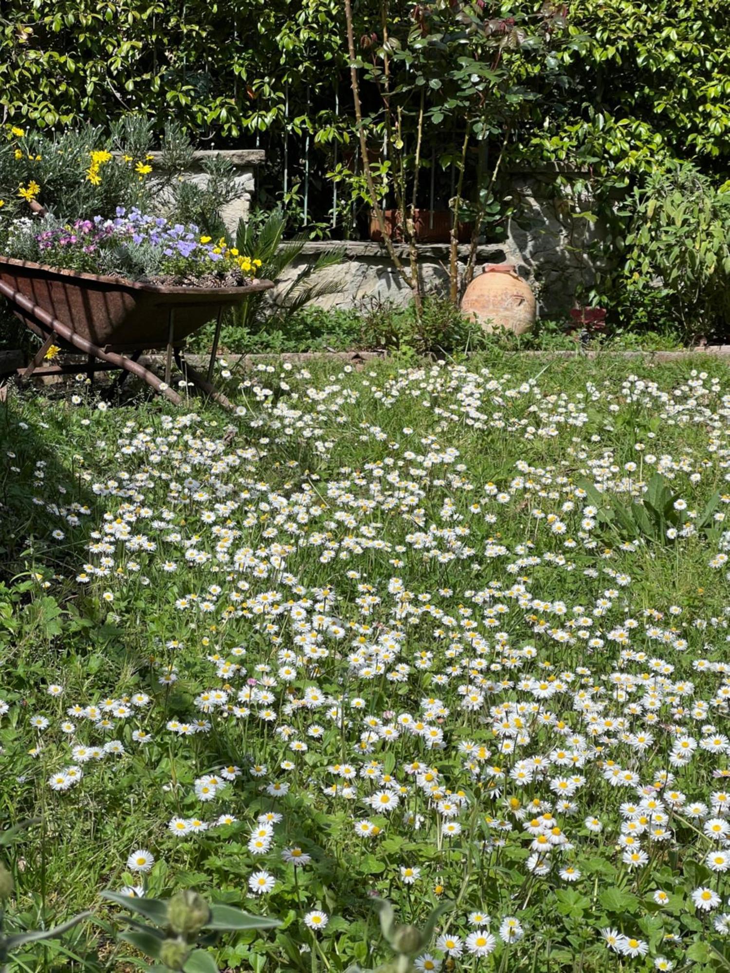 La Serra Sognante, Un Rifugio Incantevole Tra Natura E Relax 佛罗伦萨 外观 照片